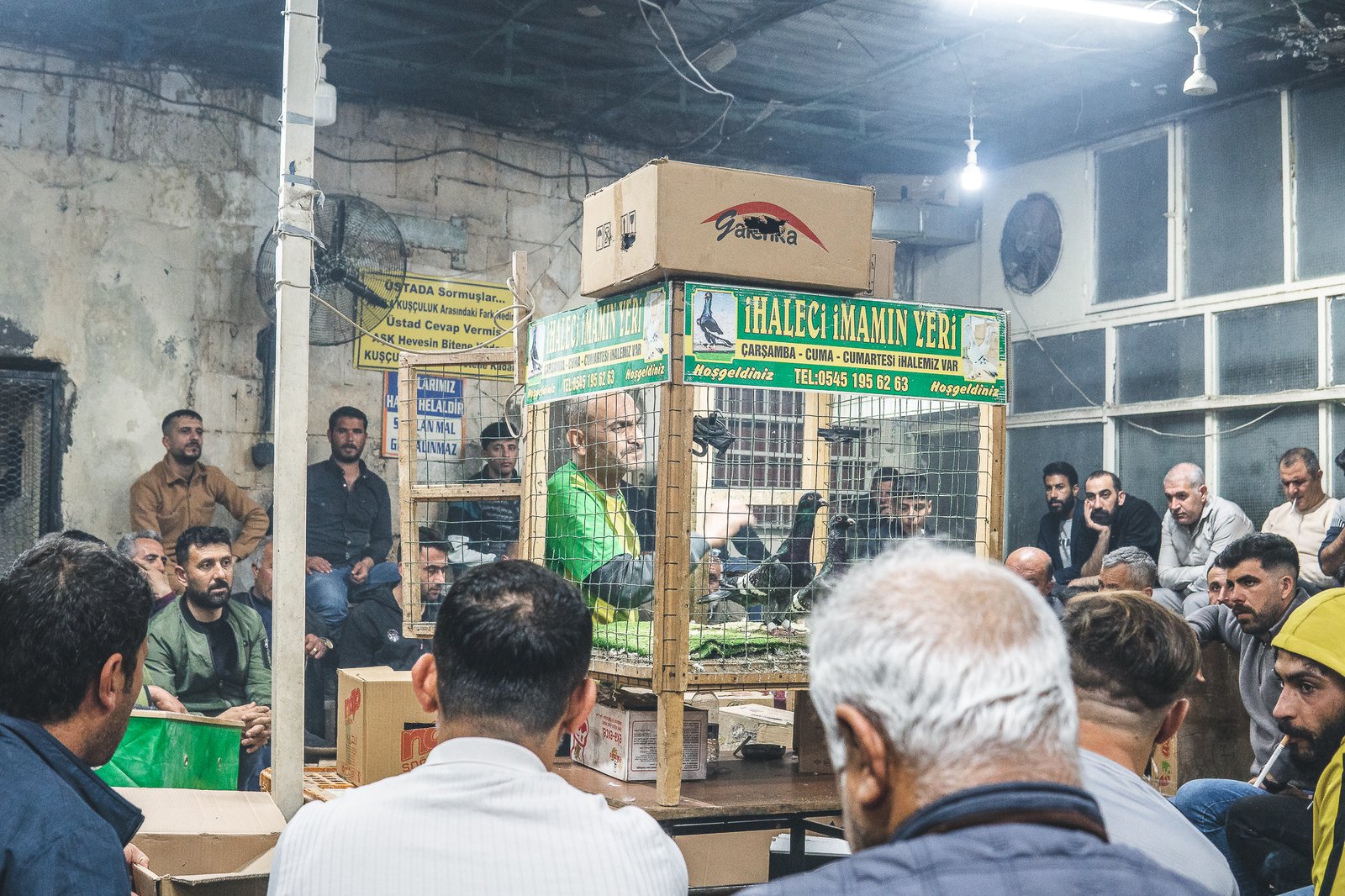 A Bird Affair mattia massaiu a bird affair 2025 01