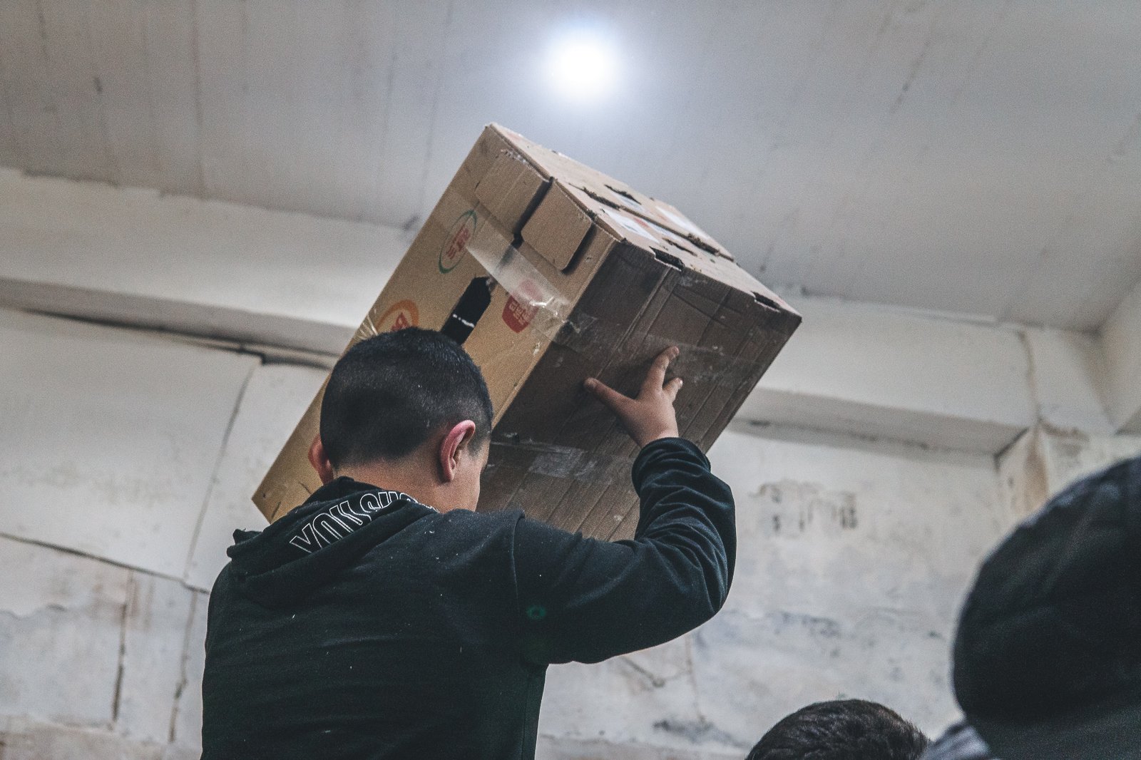 A Bird Affair mattia massaiu a bird affair 2025 05