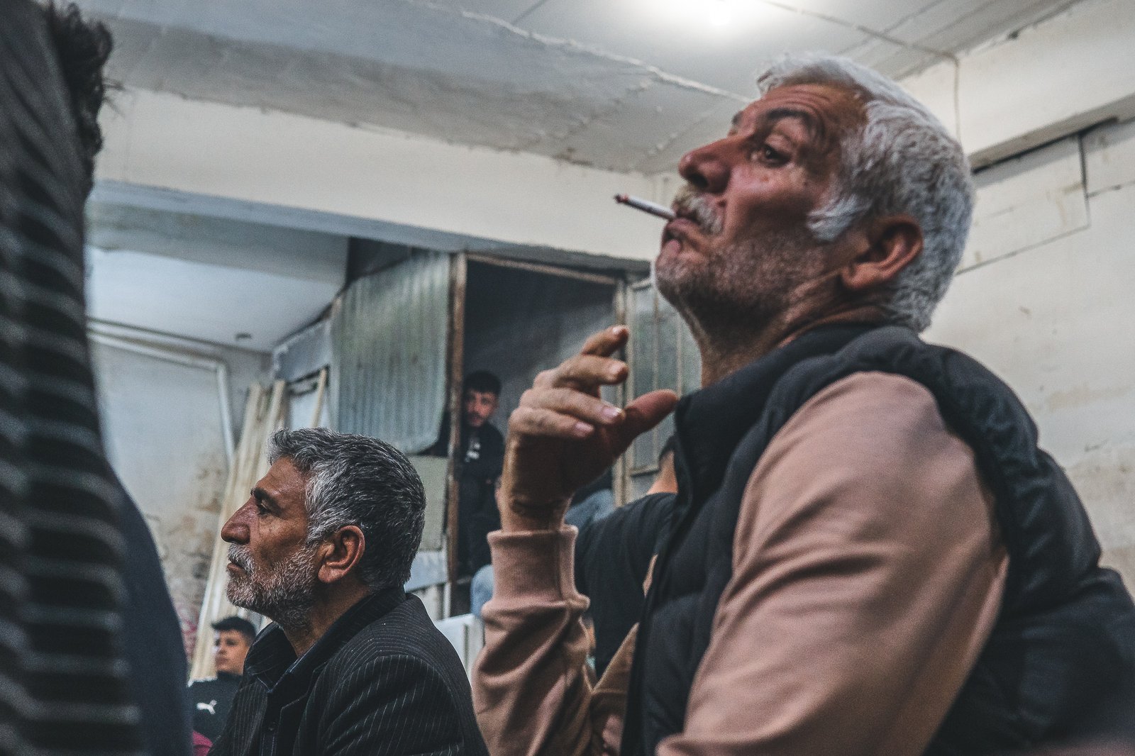 A Bird Affair mattia massaiu a bird affair 2025 06