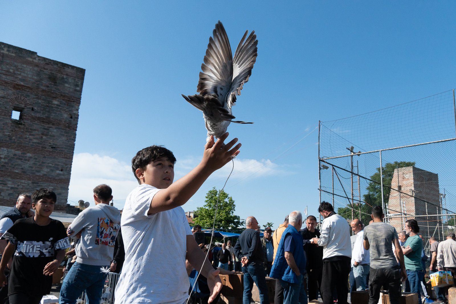 A Bird Affair mattia massaiu a bird affair 2025 10