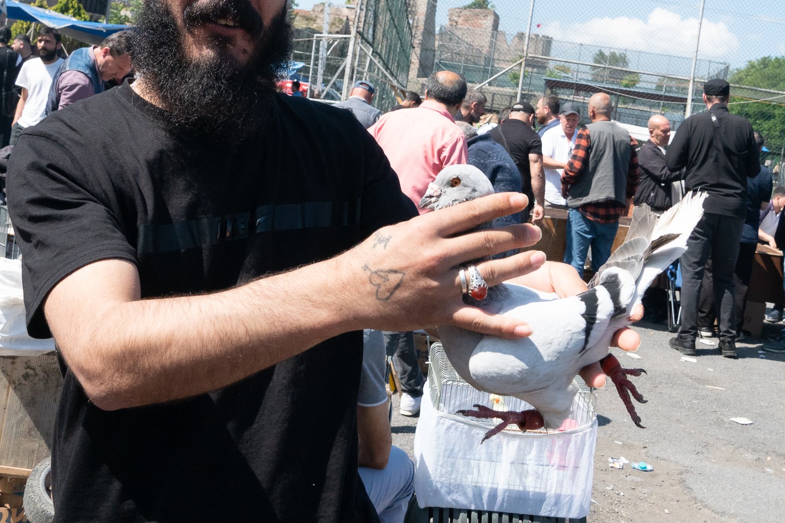 A Bird Affair mattia massaiu a bird affair 2025 13