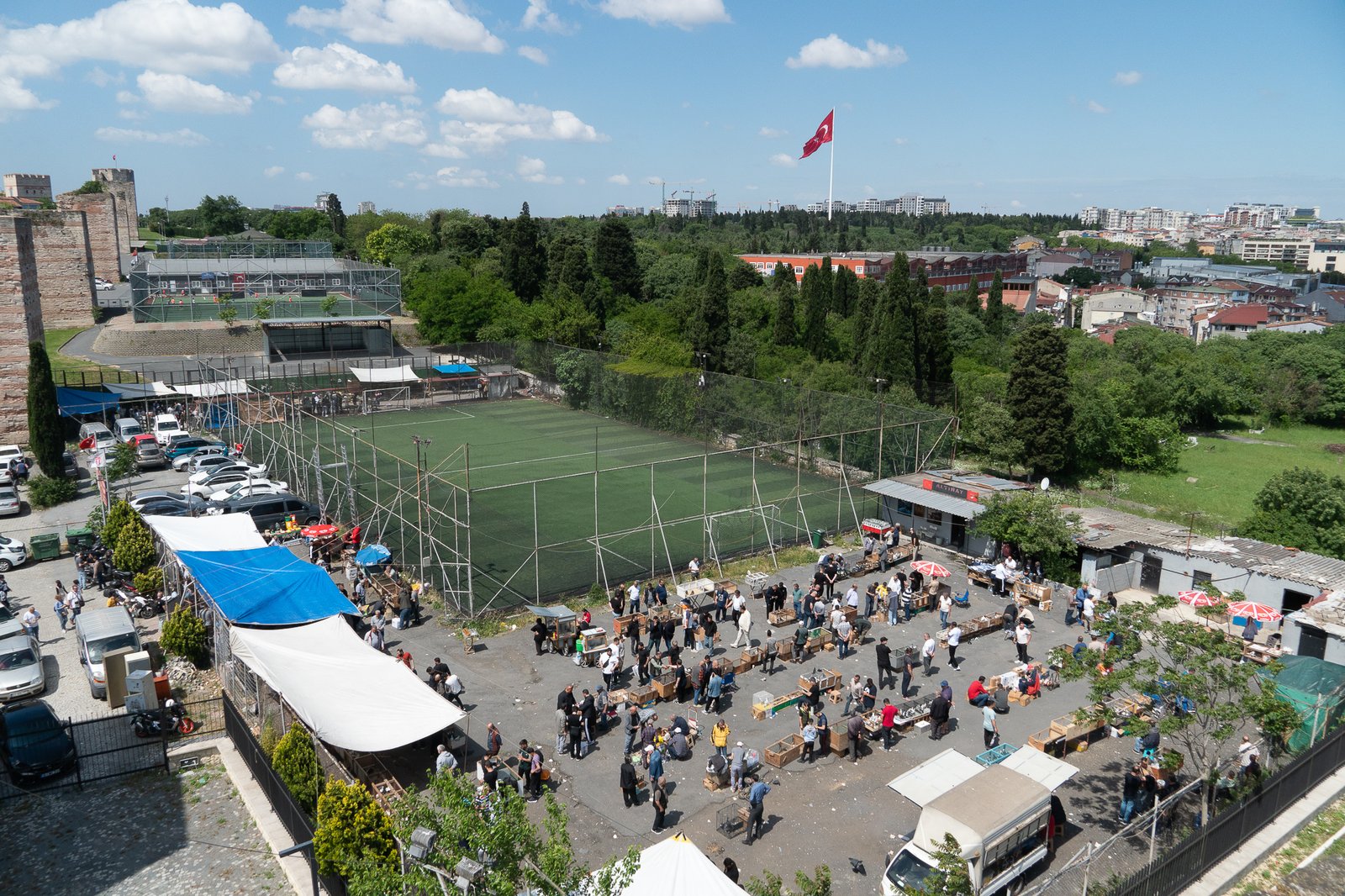 A Bird Affair mattia massaiu a bird affair 2025 14