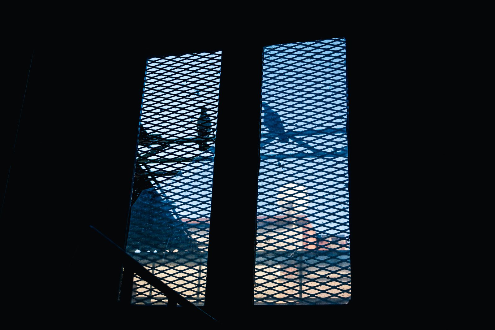 A Bird Affair mattia massaiu a bird affair 2025 17