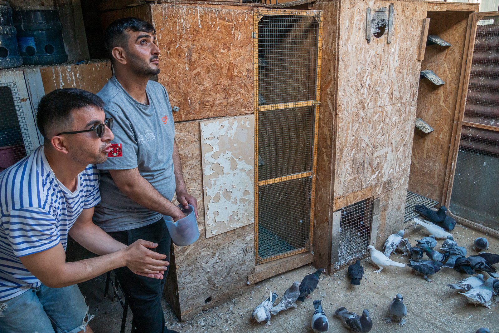 A Bird Affair mattia massaiu a bird affair 2025 22