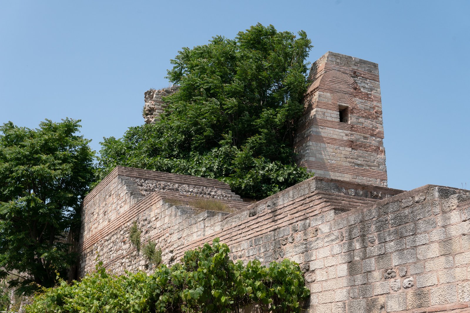 A Bird Affair mattia massaiu a bird affair 2025 26