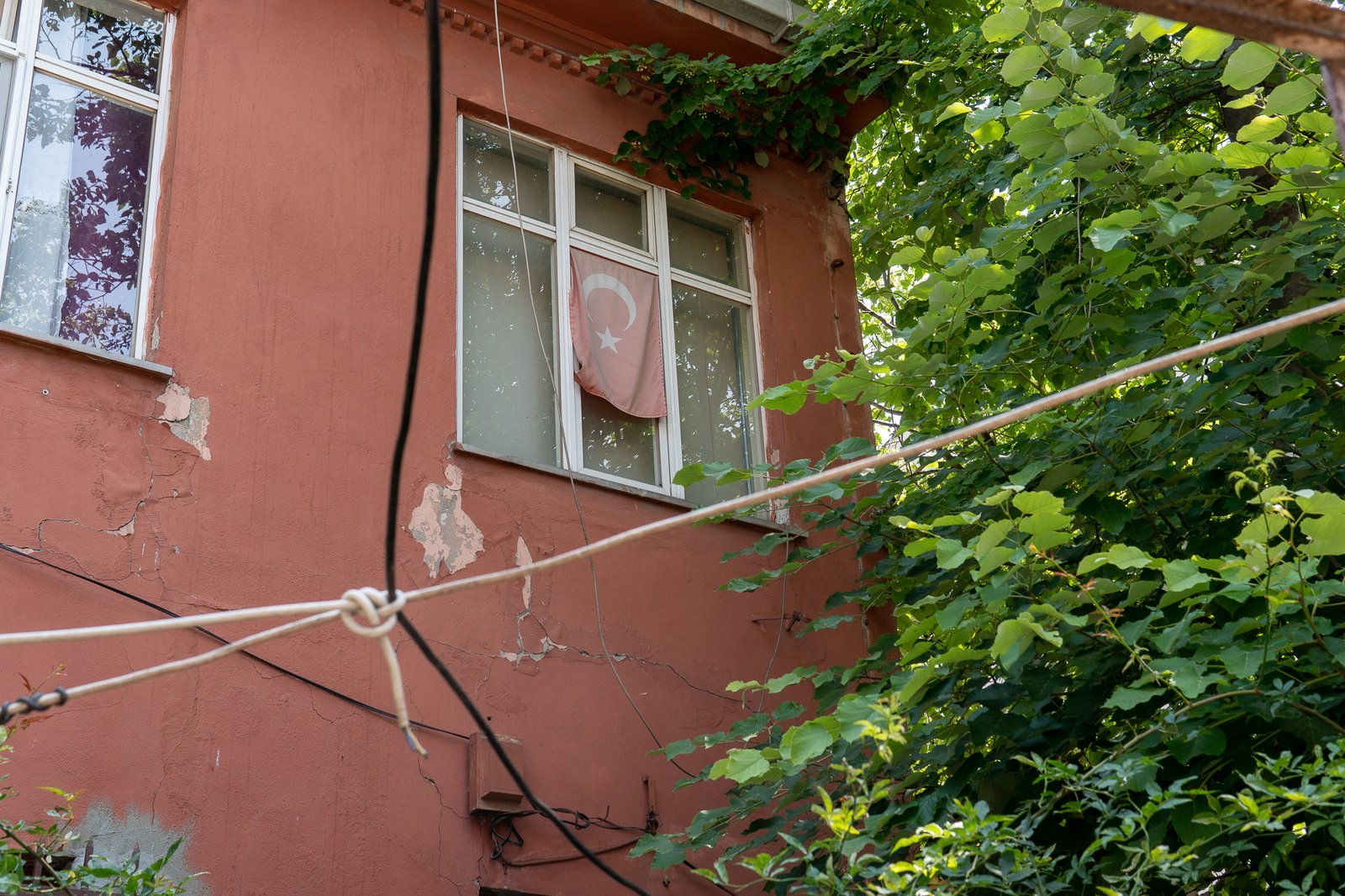 A Bird Affair mattia massaiu a bird affair 2025 27