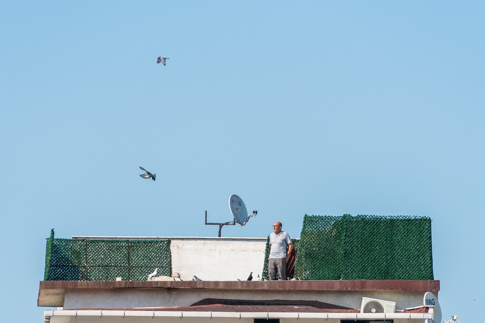 A Bird Affair mattia massaiu a bird affair 2025 32