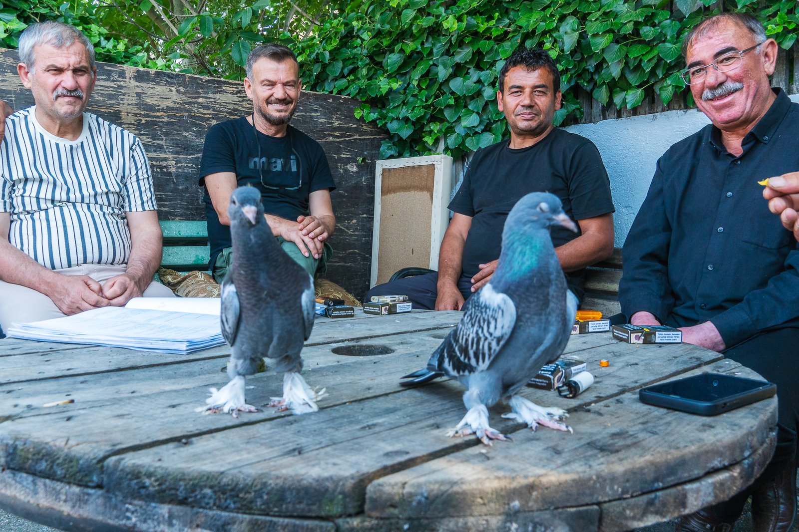 A Bird Affair mattia massaiu a bird affair 2025 34